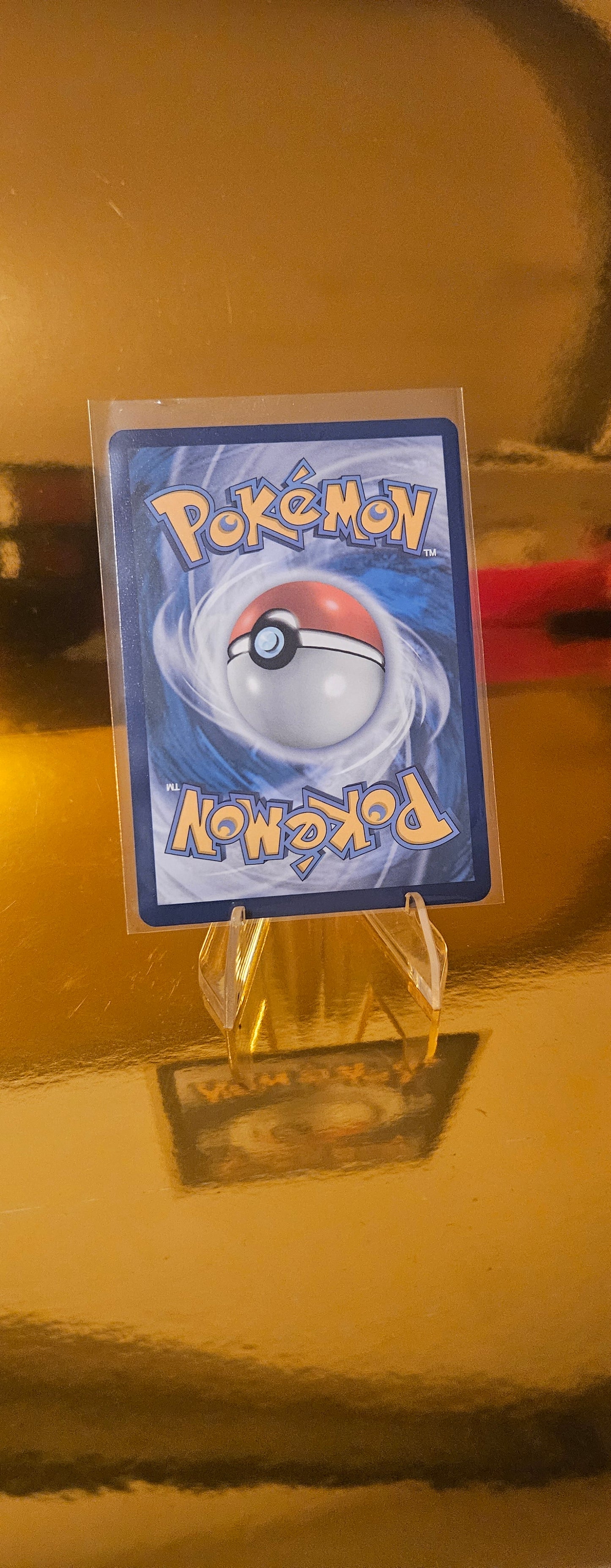 Chillabell (BLK 153) Schwarze Blitze - Cinccino