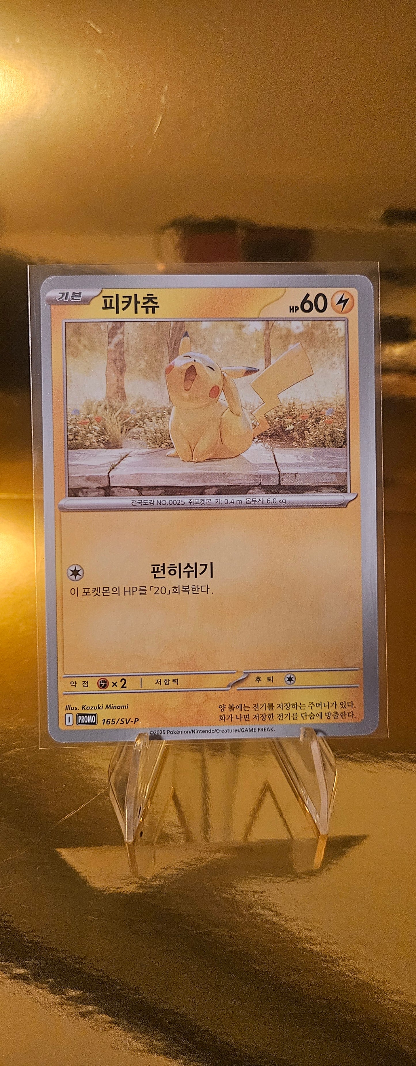 Pikachu 165/SV-P Promo Koreanisch