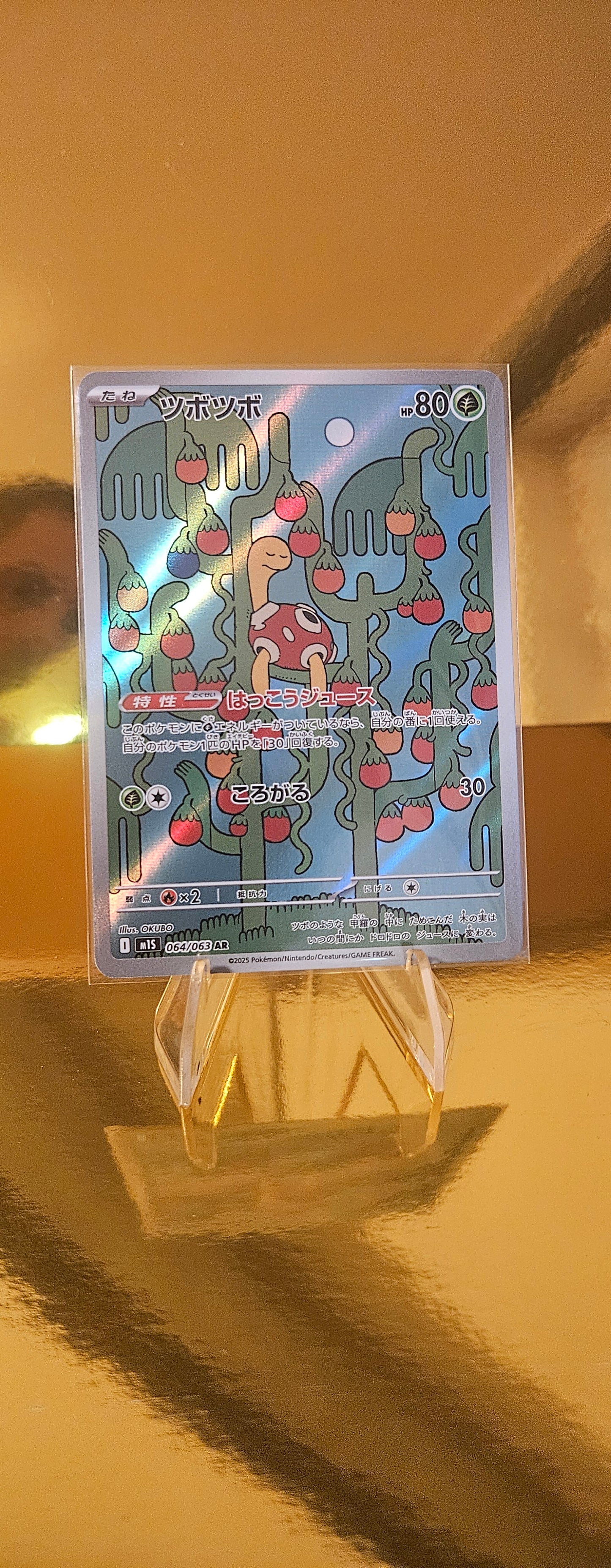 Shuckle 064/063 AR (Art Rare, Secret Rare)