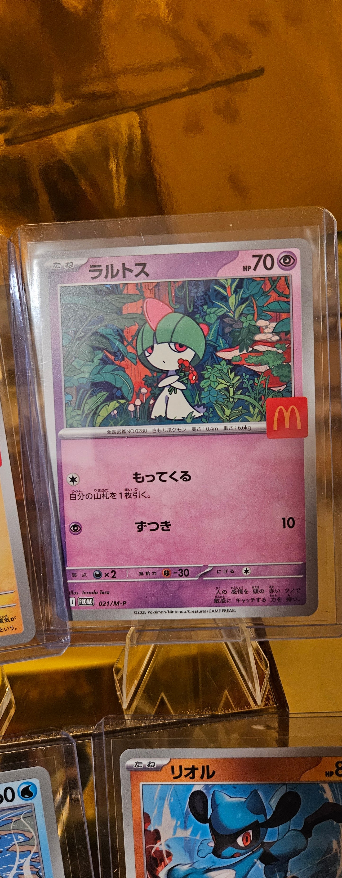 Pokémon McDonald’s Japan 2023 – Full Set Promo Karten (6 Stück)