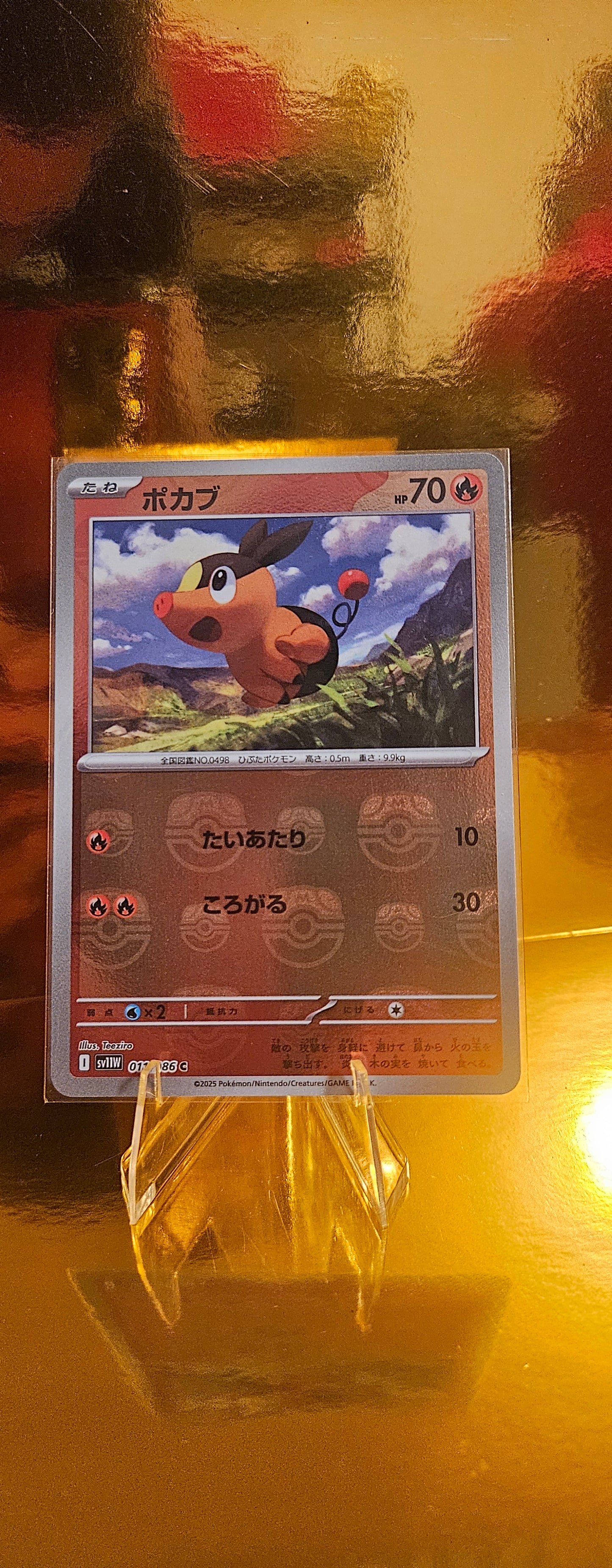 Floink (xsv11W 011) White Flare JP: Ergänzungen - Tepig